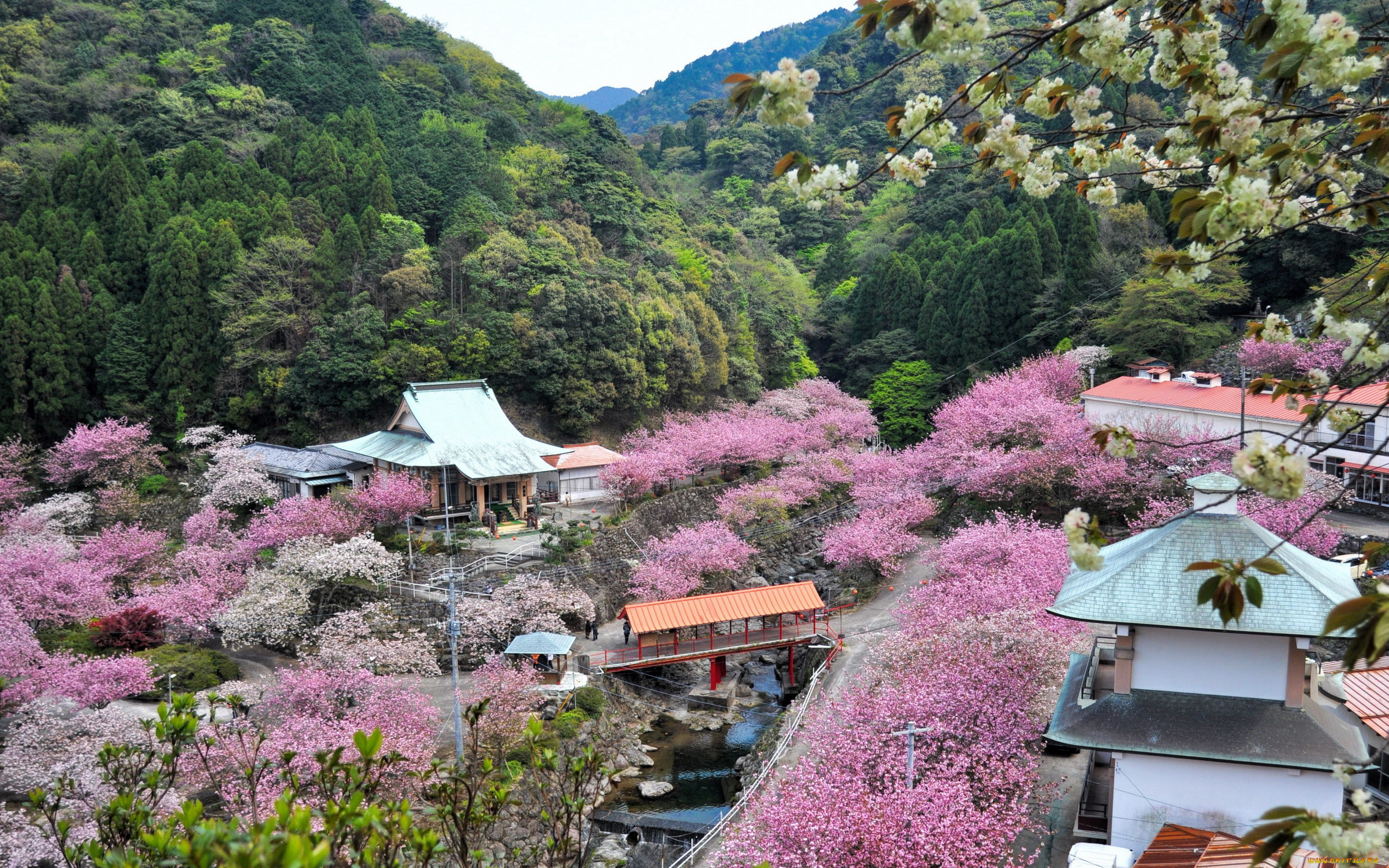 oita, kyushu island, japan, , - , kyushu, island